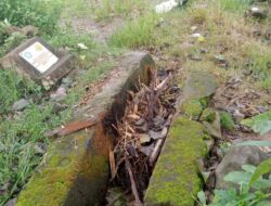 Pembangunan Irigasi Di Desa Jipang, Gowa,   Menuai Sorotan