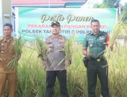 Polsek Tanasitolo Gelar Pesta Panen, Dukung Program Pemerintah Lahan Bergizi