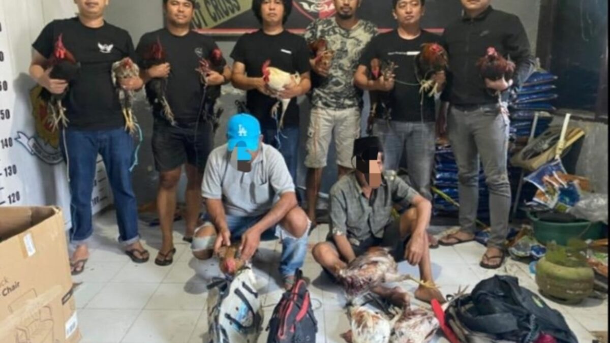 Sat Reskrim Polres Sinjai Gerak Cepat Grebek Lokasi Judi Sabung Ayam