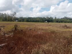 Tanah Warisan Diduga Dicaplok Pemda Bone