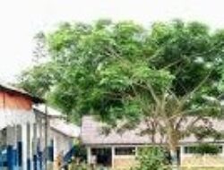 SPMT Dianggap Cacat Hukum, Kepsek SMAN 8 Sinjai Terperiksa Di Polres Sinjai.