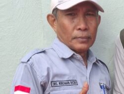 Hasto Dan Tom Lembong, Tidak Mengaku Bersalah Bapak Presiden