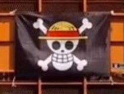 Pengibaran Bendera One Piece Jelang 17 Agustus, Tidak Perlu Dirisaukan