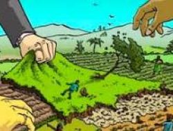 Membongkar Dugaan Mafia Tanah Adat “Paduppa” Di Dusun Karobbi (Bagian 2)