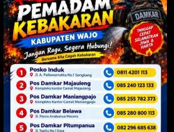 Gerak Cepat: SatPol PP Dan Damkar Wajo, Rilis 6 Nomor Hotline Pemadam Kebakaran – Catat Jangan Panik